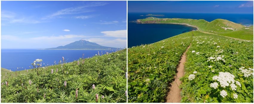禮文島